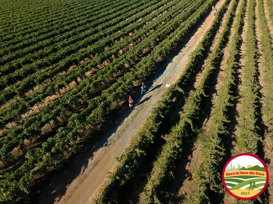 View 2024 RTSP in new tab