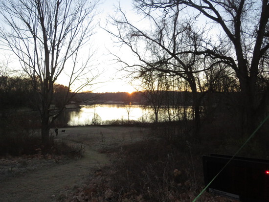 View Start Line in new tab