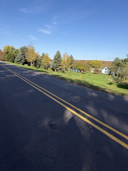 Participant Upload Image