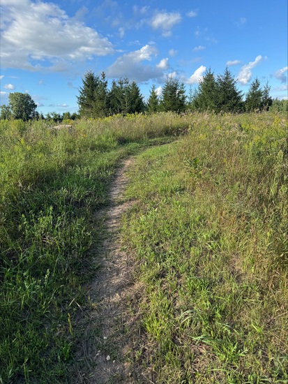 View Trail Pictures in new tab