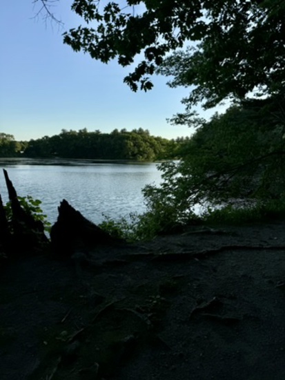 Participant Upload Image