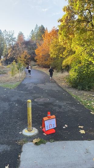 View Emily blosr in new tab