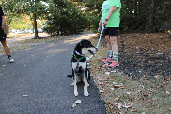 View Start Line in new tab