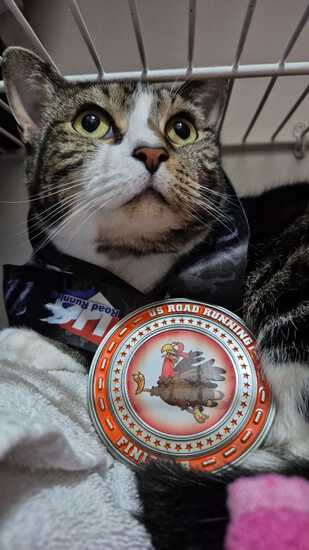 View Kim L. in new tab