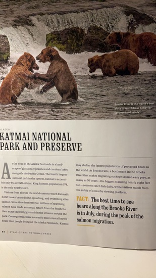 View Ipad in new tab