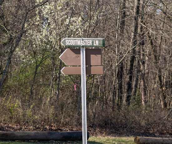 View Race Photos! in new tab