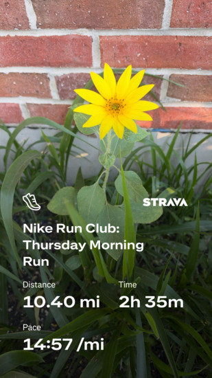 View photos in new tab