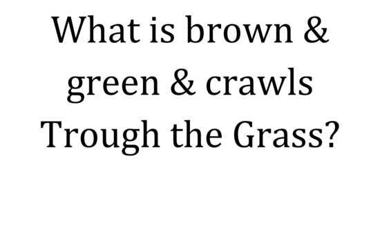 View The "missing" but fun in new tab