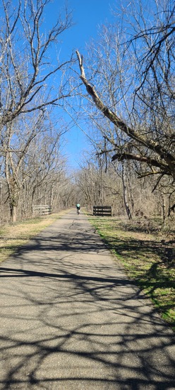 Participant Upload Image