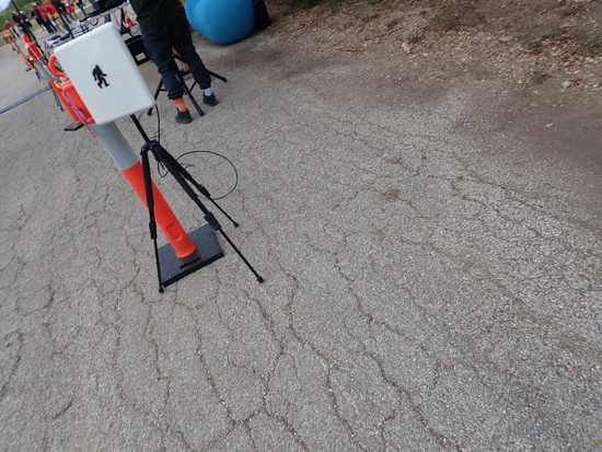 View Finish Line in new tab