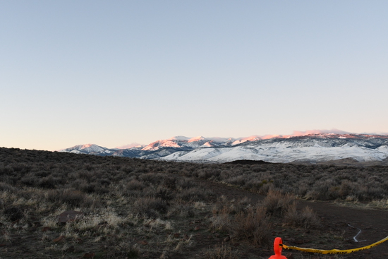 View Finish Line in new tab