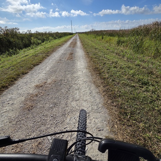 View photos in new tab