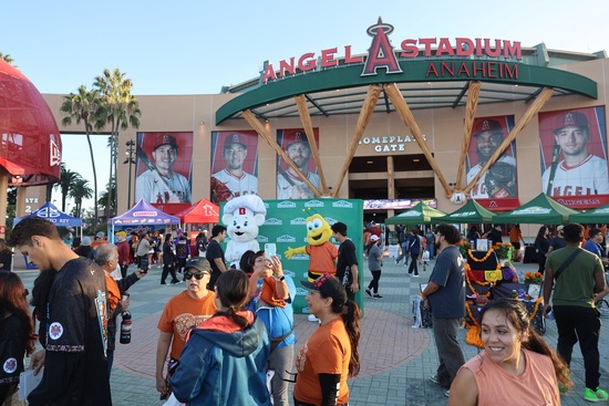 View Expo/Course in new tab