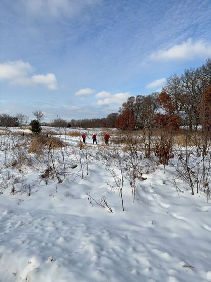 View Finish Line in new tab