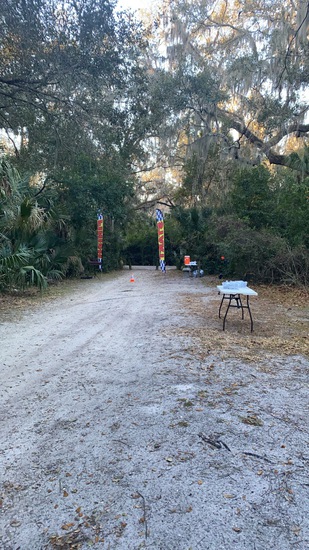 View shelbi in new tab