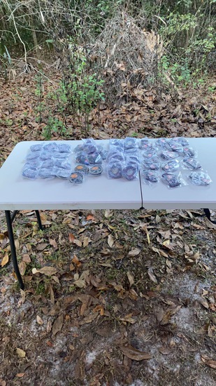 View Shelbi in new tab