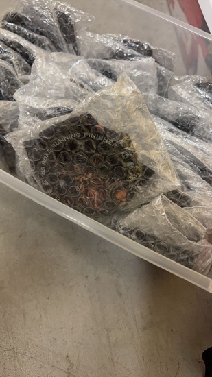 View Shelbi in new tab