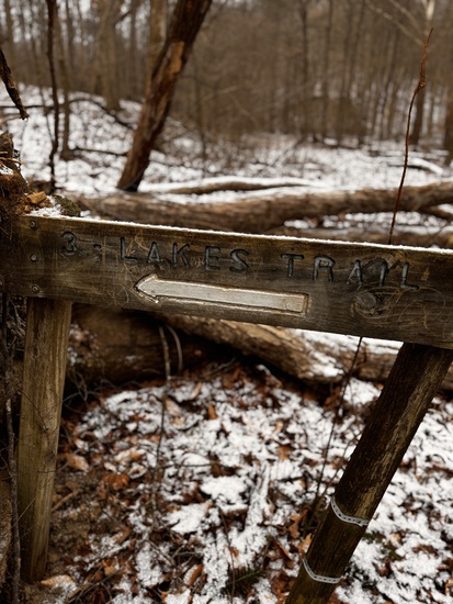 Participant Upload Image