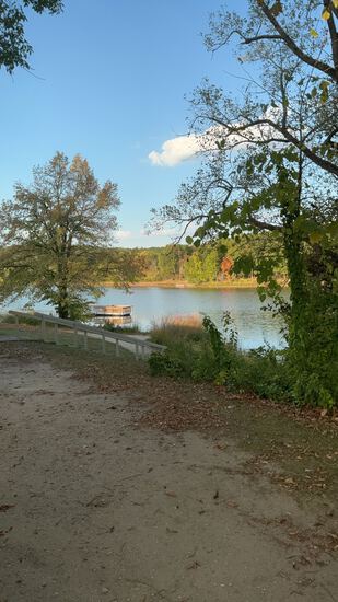 View Race Day Photos in new tab