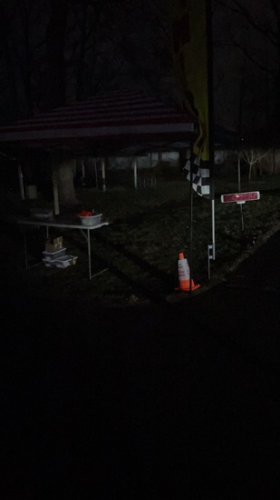 View Kellyt in new tab