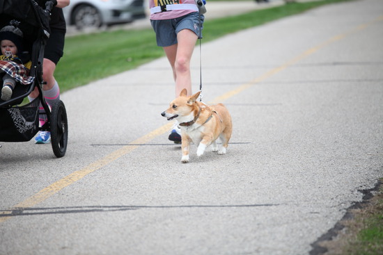 View Race Day Fun! in new tab