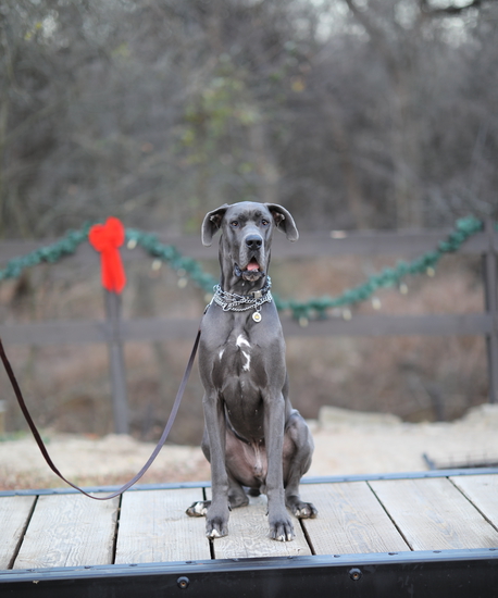 View Finish Line in new tab