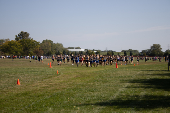 View Boys Yellow Division (21+ Minutes) in new tab