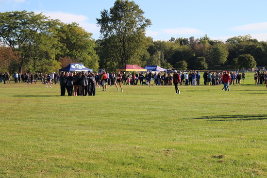 View High School Girls D1 in new tab