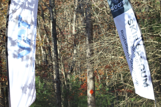 View Finish Line in new tab