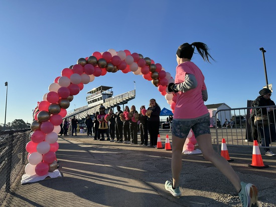 View 2026 Pink Walk & Fun Run in new tab