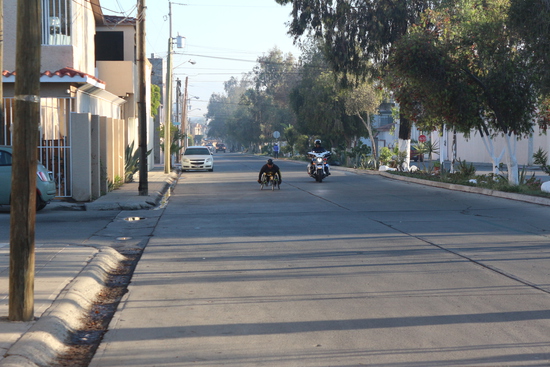 View Altabrisa in new tab