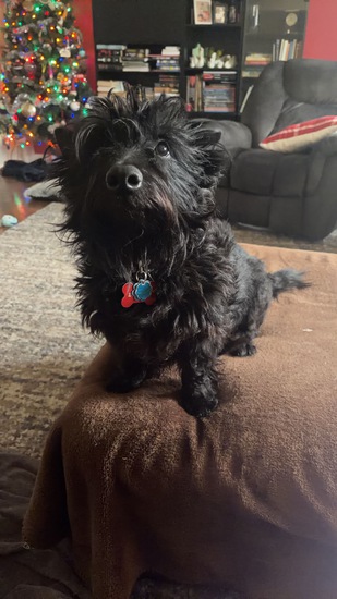 View Brenda in new tab