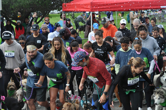 View Doggie Run 2025 in new tab