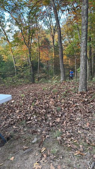 View Little Rooster Kids Fun Run in new tab
