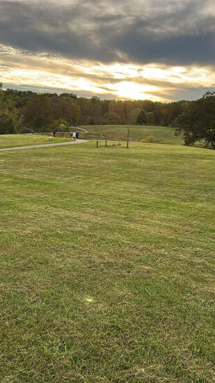 View Little Rooster 5K in new tab