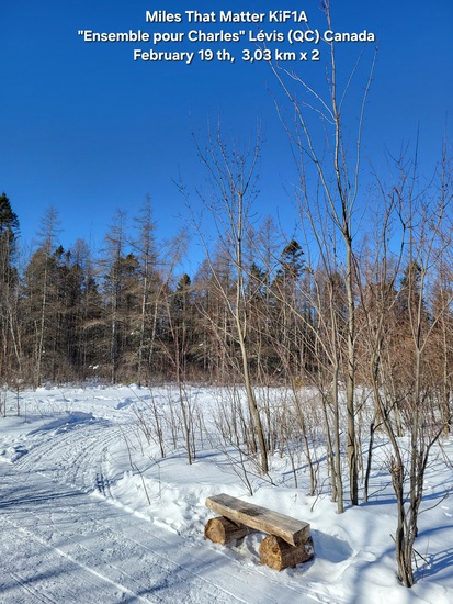 View photos in new tab