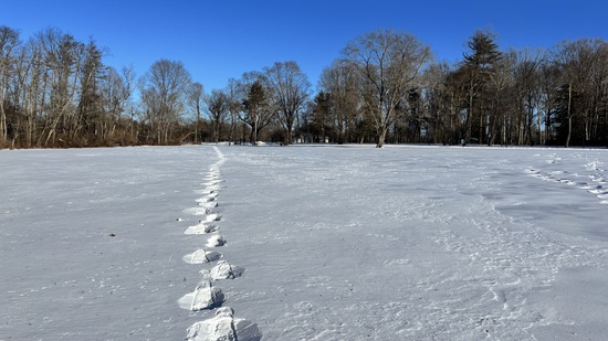 View photos in new tab