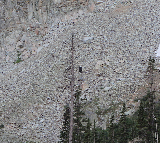 View Never Summer 60km - Lake Agnes (Terry Grenwelge) in new tab