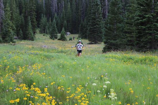 View Never Summer 100km - Kelly Lake (Terry Grenwelge) in new tab