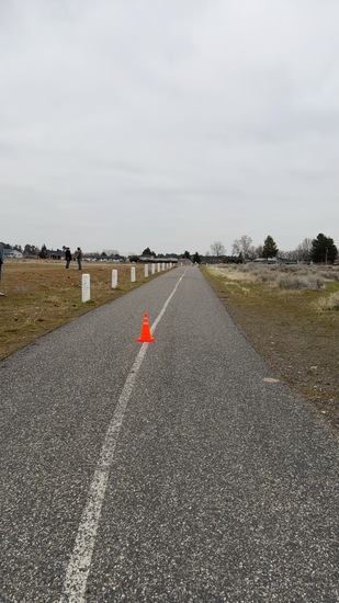 View Rosie in new tab