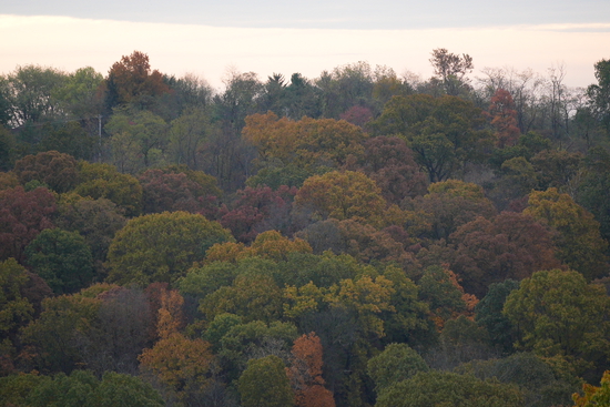 View 6.66 and 13 Split in new tab