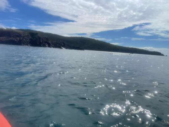 View Feb 4 - Epic swim and hike in new tab