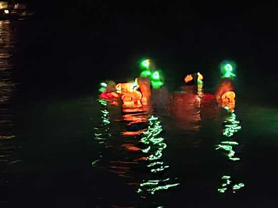 View Feb 6 - Salt Pond night swim in new tab