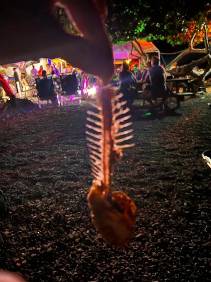 View Side trips in new tab