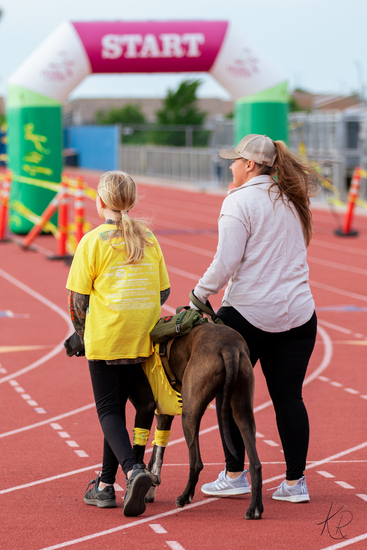 View Start Line in new tab