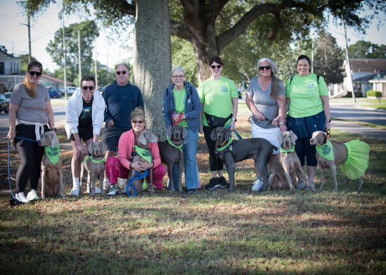View Finish Line in new tab