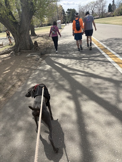 Participant Upload Image