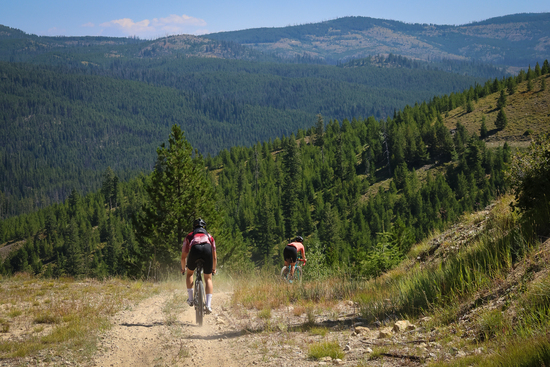 View Raceday in new tab