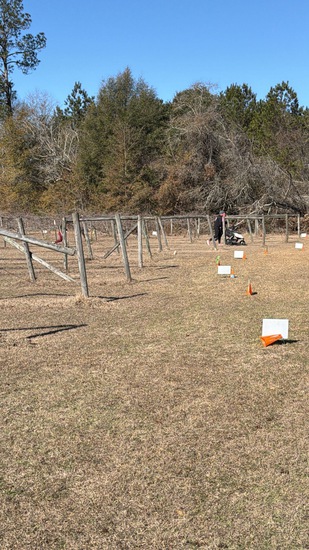 View Finish in new tab