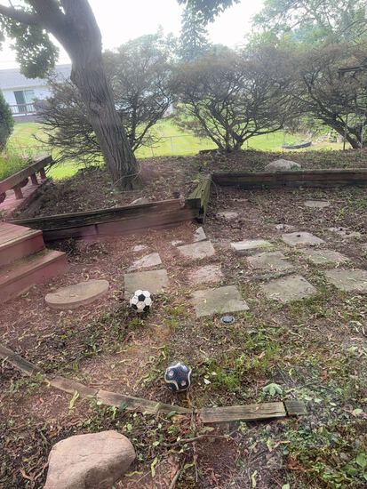 View Rachel C in new tab